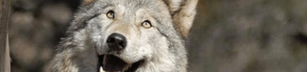 #3 kroky, ako zmeniť svet k lepšiemu v tvojich&nbsp;očiach