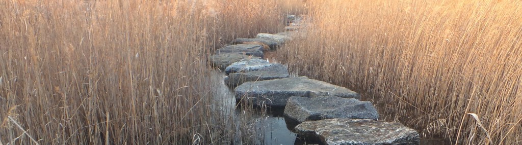 Nepopulárny článok o bdelej&nbsp;pozornosti