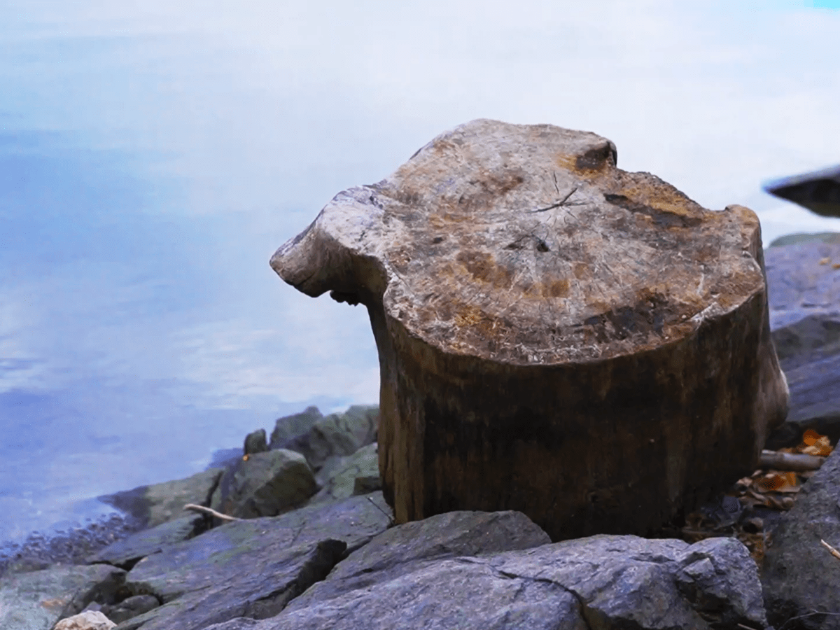 VIDEO: Ako cestovať svojim telom?  (vedená meditácia&nbsp;body-scan)