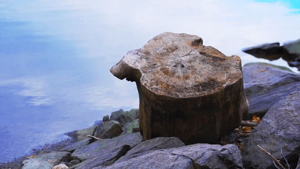 VIDEO: Ako cestovať svojim telom?  (vedená meditácia&nbsp;body-scan)